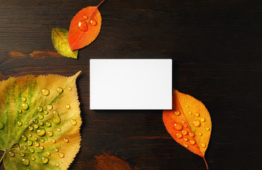 Blank business card and bright autumn leaves on wood table background. Flat lay.