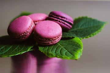 Beautiful pink macaroons laid out on green leaves on a transparent silver background.