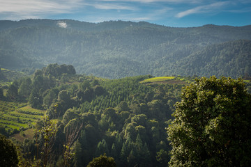 Natural landscape in the middle of the forest, mexican landscape, Jiquipilco, Mexico