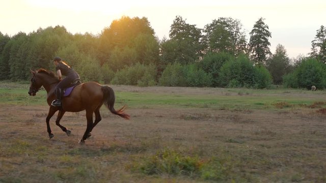 Woman riding horse by gallop at sunset. Horseback riding in slow motion.