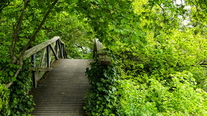 Obraz premium Seldom used, partially overgrown, wooden footbridge. Unoccupied, with ivy (hedera) over posts and canopy of verdant green foliage. Space for copy. England