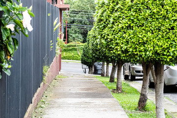 entrance to the garden