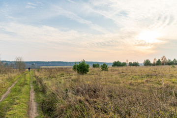 The sun is setting in a cloudy sky over a field of withering grass and small pines, on a dirt road in the distance is a man. The forest darkens in the background. Spacious bright autumn landscape