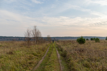 In the evening twilight, a traveler walks into the distance along the dirt road between the fields....