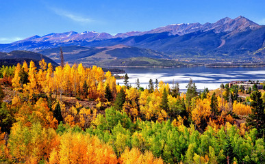 Golden Colorado aspens in the fall with Lake Dillon and the Tenmile Range of mountains in the background