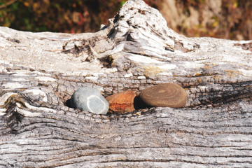 Beach wood and pebbles textures