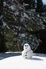 playing with snowman in wind farm