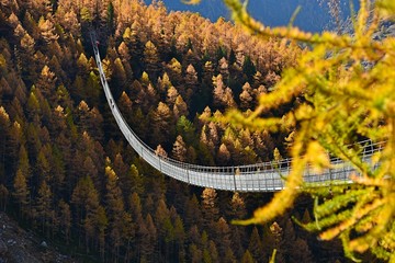Charles kuonen suspension bridge - Powered by Adobe