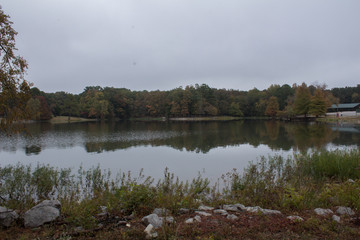 reflection of trees in water
