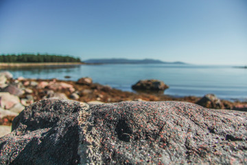 Stones on the sea shore and forest