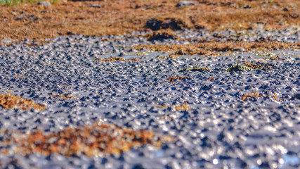 Funny sand relief on the White Sea coast at low tide
