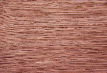 not polished oak, grunge wood pattern texture