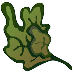 Autumn harvest. Pumpkins. Vector illustration on a white background executed in a realistic style.