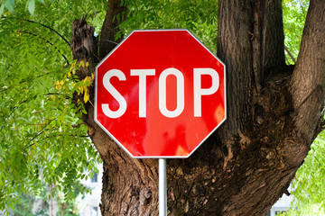 red stop sign on a tree