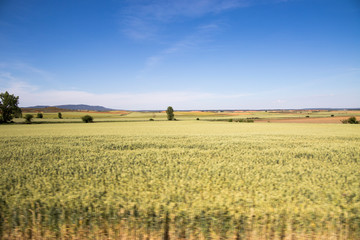 Castile Leon landscape Soria province Spain