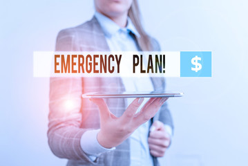 Conceptual hand writing showing Emergency Plan. Concept meaning actions developed to mitigate damage of potential events Business concept with mobile phone and business woman