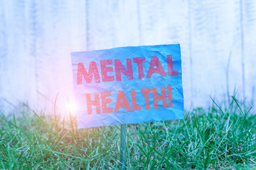 Text sign showing Mental Health. Business photo showcasing demonstratings condition regard to their psychological well being Plain empty paper attached to a stick and placed in the green grassy land