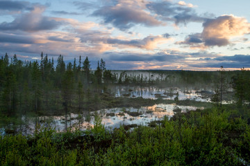 Summer Night landscape in the north of the Kola Peninsula in Russia. White nights, lakes, forests and haze in the swamps