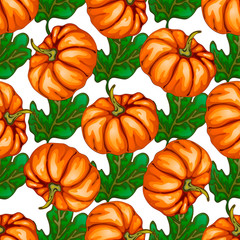 Autumn harvest. Pumpkins. Vector illustration on a white background executed in a realistic style.