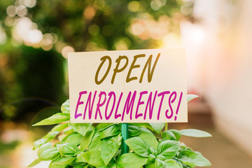 Handwriting text writing Open Enrolments. Conceptual photo when employees may make changes to elected fringe benefit Plain empty paper attached to a stick and placed in the green leafy plants