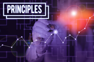 Word writing text Principles. Business photo showcasing fundamental truth that serves as the base for a system of belief Woman wear formal work suit present presentation using smart latest device