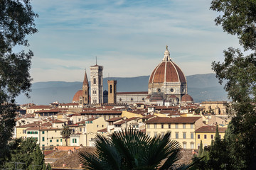 Fototapeta premium view of florence italy