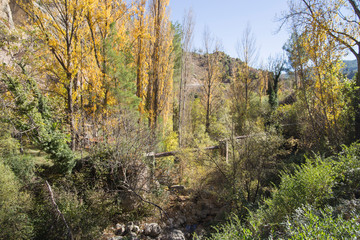 Autumn in Olba Gudar mountains Teruel Aragon Spain