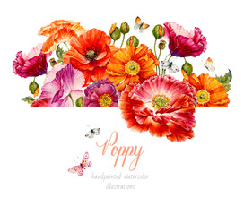 Poppy. Botanical watercolor illustration