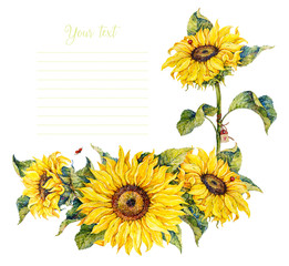 Botanical sunflowers. Watercolor illustration.