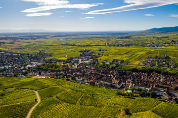 Fototapeta na wymiar An aerial panorama of Ribeauvillé (France) with vineyards