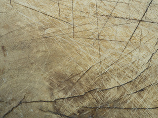 Texture of bark old wood use as natural background