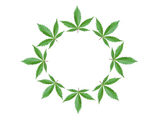 Frame with green cannabis leaves isolated on white background. Round advertising logo with...