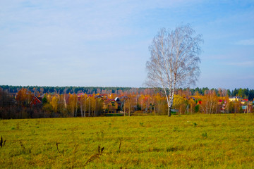 Landscape with the image of autumn russian country side