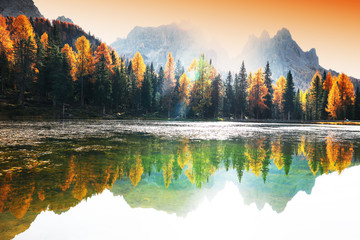 Obrazy na Szkle  Jezioro z odbiciem gór o wschodzie słońca jesienią w Dolomitach we Włoszech. Krajobraz z jeziorem Antorno, błękitną mgłą nad wodą, drzewami z pomarańczowymi liśćmi i wysokimi skałami jesienią. Kolorowy las