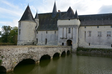 Fototapeta na wymiar Château du Plessis-Bourré