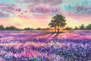 Watercolor lavender field summer spring sunset landscape. Violet background. France Provence. Spring summer postcard banner. Fragrant flowers. Aroma - obrazy, fototapety, plakaty