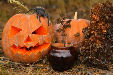 Halloween pumpkin and huge spider.Halloween outdoor and have fun. Kids trick or treating. Spooky pumpkin head jack lantern on dark forest. Halloween design with copyspace.