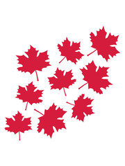 rotes ahornblatt muster herbst winter bunt farben blatt ahorn baum natur schön herbstlich jahreszeit design clipart logo cool hübsch