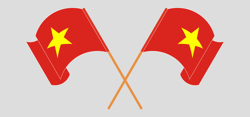 Crossed and waving flags of Vietnam