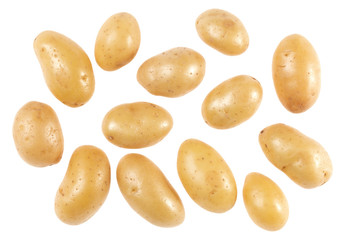 Potatoes isolated over white background. Top view. Flat lay pattern. Potatoes in air, without shadow..