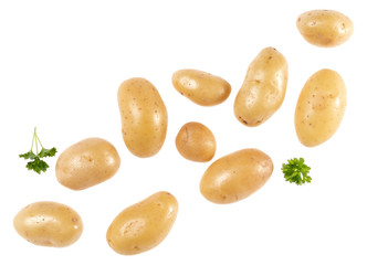 Potatoes and parsley isolated over white background with copy space for your text. Top view. Flat lay pattern. Potatoes in air, without shadow..