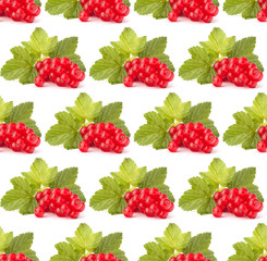 Red currants isolated over white background cutout.Creative layout, fruit seamless pattern..