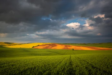 Keuken spatwand met foto Moravian fields in spring time, green and yellow landscapes in Czech Republic has awesome structure © PawelUchorczak