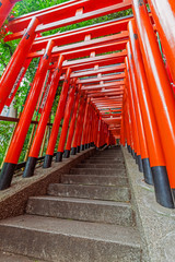 Japanese traditional red Tori gates in Tokyo