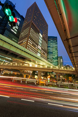 Fototapeta na wymiar Modern architecture. Elevated Highways and skyscrapers in Tokyo.
