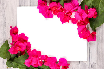 Flatlay of flowers and leaves of bougainvillea. Botanical Mockup