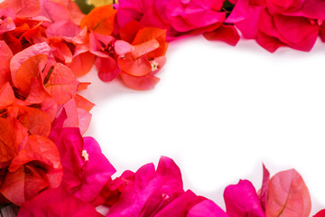 Flatlay of flowers and leaves of bougainvillea. Botanical Mockup