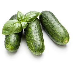 Cucumber vegetable and basil leaves isolated on white background cutout
