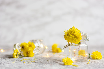 Fototapeta na wymiar Composition of yellow chrysanthemums in a small glass jar on a gray background. Horizontal orientation