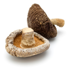 Dried Shiitake Mushroom isolated on white background